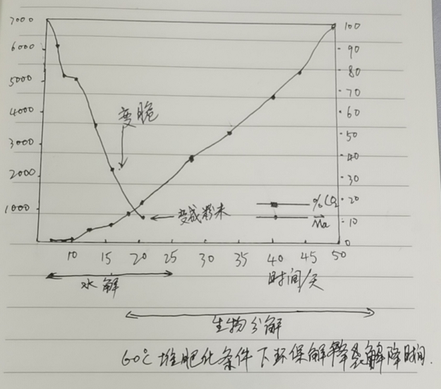 環保降解袋的分解原理|降解袋是怎么降解的？(圖1)